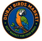 Dubai Birds Market